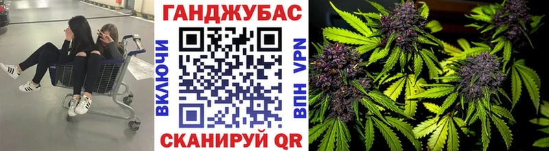 Купить закладки  Советск  Каннабис семена 